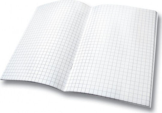 Skag Notebook Maths (Square Box) B5 50 Sheets High International Blue 1pcs