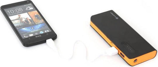 Platinet PMPB80BO Power Bank 8000mAh mit 2 USB-A Ausgangsanschlüsse Orange