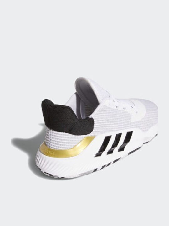 Pro Bounce 2019 Low Χαμηλά Μπασκετικά Παπούτσια Cloud White / Core Black / Gold Met.