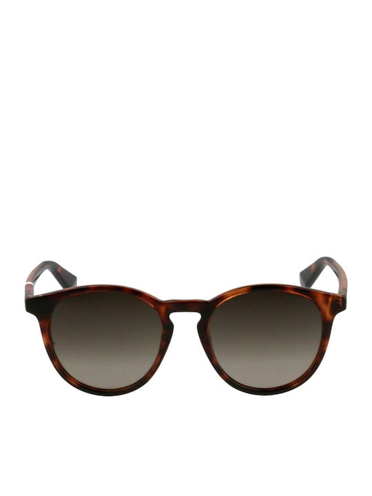 Polaroid Sonnenbrillen mit Braun Schildkröte Rahmen und Braun Verlaufsfarbe Polarisiert Linse 352548