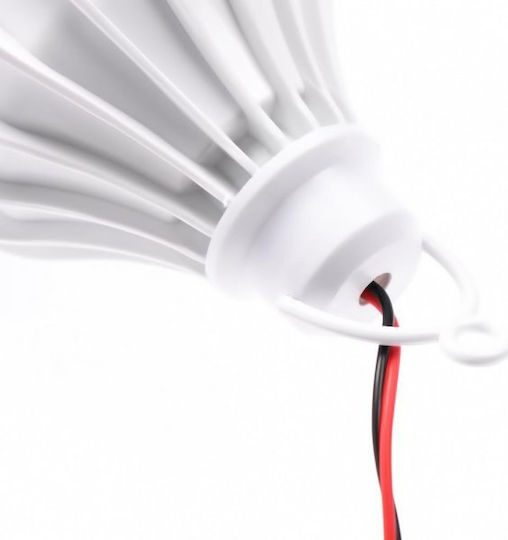 LED Emergency Light Globe with Battery Powered and Photocell 1pcs