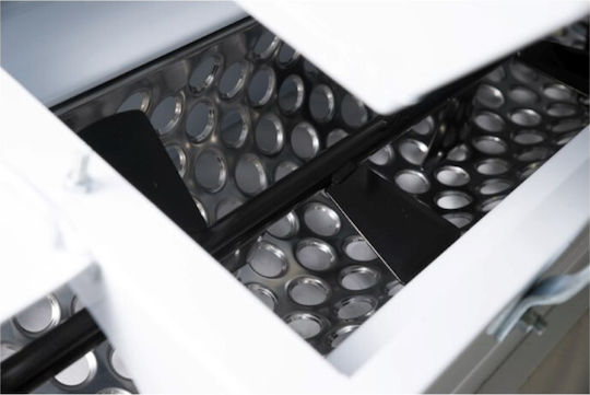Grifo DMC Electric Grape Crusher 220V with Separator for Production up to 1500 kg/h