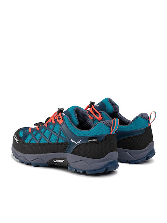 Salewa