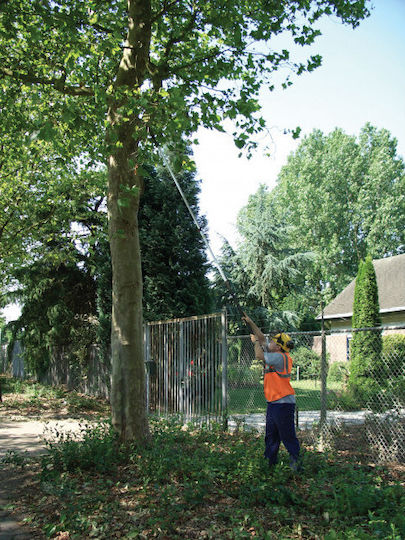 Silky (Saws) Hayauchi 6300 Telescopice Ferăstrău de tăiat crengi 6.30m cu lamă 39cm