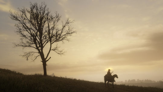 Red Dead Redemption 2 (Key) PC Game