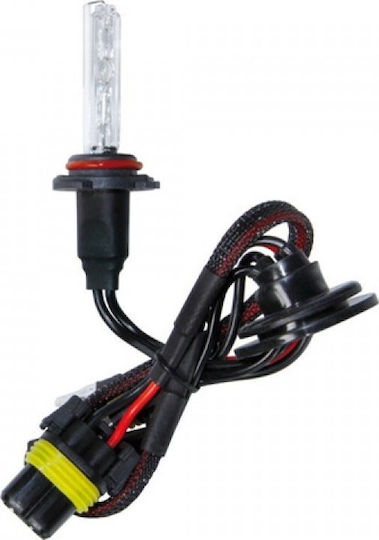 Lampa Lamps Car & Motorcycle HID Xenon Bulb H10 Xenon 6000K Cold White 12V / 24V 35W 1pcs