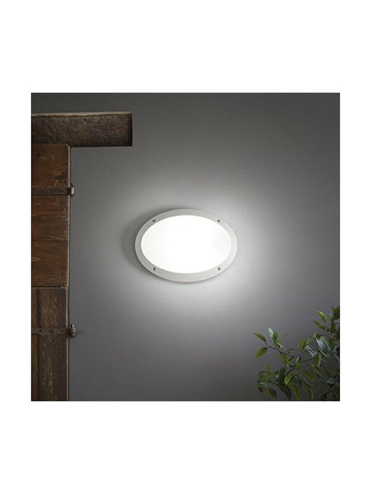 Ideal Lux Maddi-1 AP1 Wall-Mounted Outdoor Turtle Light E27 IP66 33x23x9εκ.