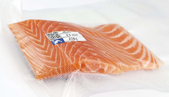 Caso Foil Bag Grainy Vacuum Sealer Bag 300x400mm 50pcs