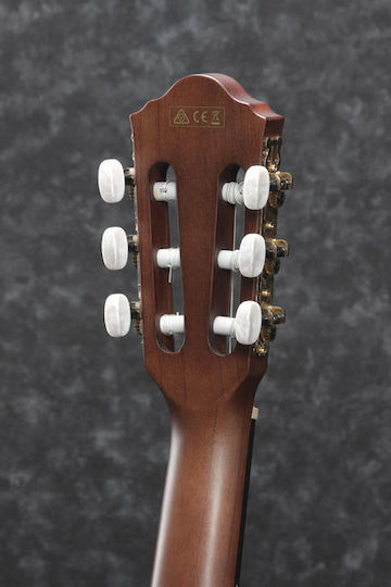 Ibanez AEG50N-NT Nylon Electro-Classical Guitar 4/4 Natural Gloss