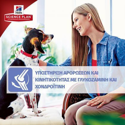 Hill's Science Plan Mature Adult 6+ Active Longevity Large Breed 14kg Hrană Uscată pentru Câini Adulţi de Rase Mari cu Pui