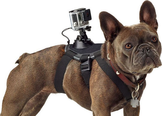 Dog Harness Dog Support Base Universal