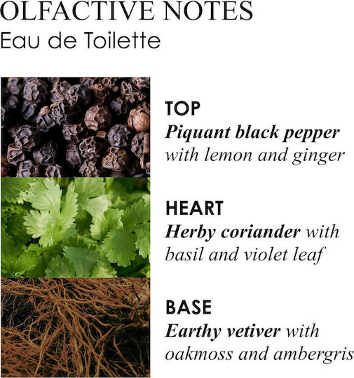 Molton Brown Re-charge Black Pepper Eau de Toilette Nachfüllbar 100ml