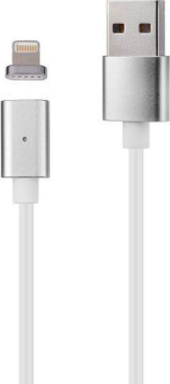 Magnetic Detachable USB-A to Lightning Cable Gray 1m