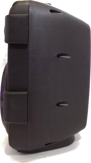 Akai Proffesional Karaoke Speaker With Wired Microphone ABTS-808L Black