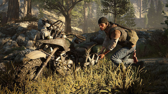 Days Gone PS4 Game (Used)
