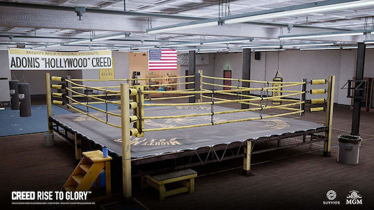 Creed Rise to Glory PS4 Game
