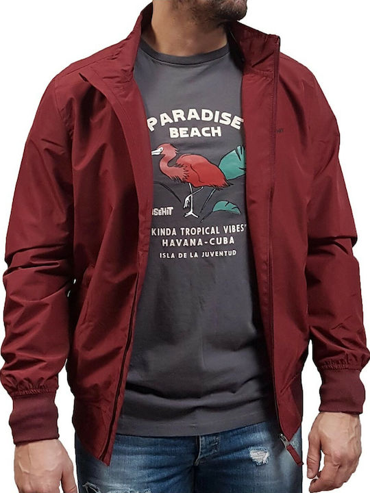 Jacket Bomber Windproof Wildberry