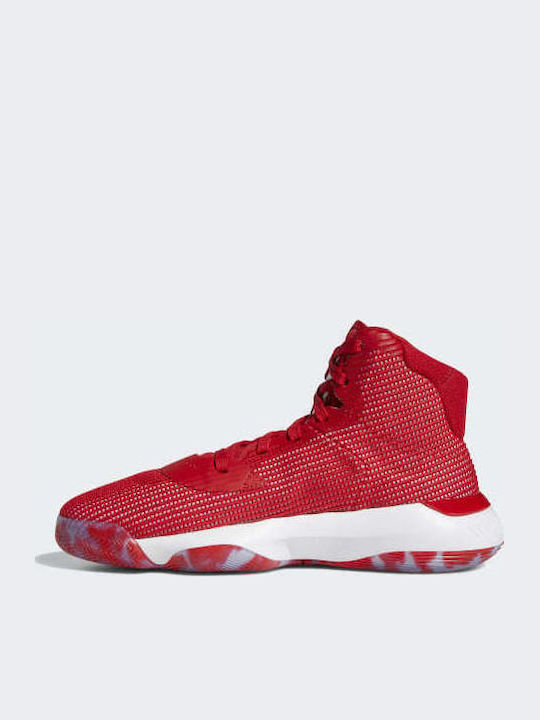 Pro Bounce 2019 Basketballschuhe Scarlet / Cloud White
