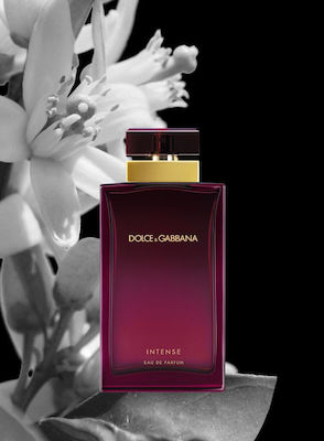 Dolce & Gabbana Pour Femme Intense Eau de Parfum 100ml