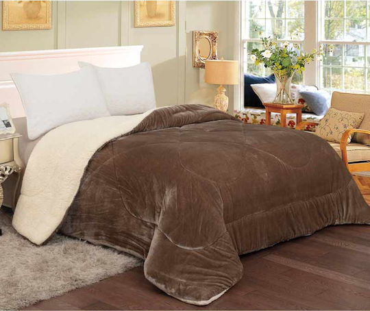 Sunshine Coral Sunshine Coral