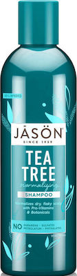 Jason Normalizing Tea Tree Treatment Shampoo Scalp Treatment for All Hair Types 517ml