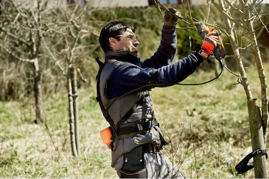 Bahco BCL22 Pruning Shears Battery Brushless 43.2V 1x5.8Ah with Maximum Cutting Diameter 45mm