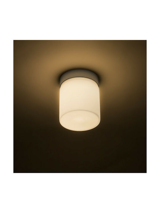 Rendl Light Studio Esica Cyl Plafonieră de Tavan Baie 12buc Argintiu cu LED Integrat