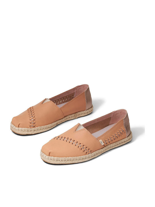 Toms