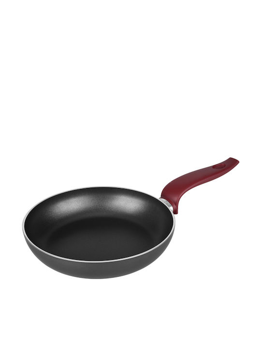 Fest Magic Pan made of Aluminum with Non-Stick Coating 22cm