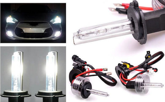 Λάμπες Αυτοκινήτου xenon H7 Xenon 6000K Ψυχρό Λευκό 12V 35W 2τμχ