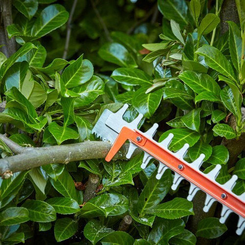 Black & Decker BEHTS551-QS Electric Hedge Trimmer 650W with Blade 60cm BEHTS551
