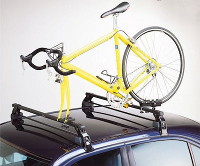 Peruzzo Tour Professional Car Bike Ceiling Rack for 1 Bike