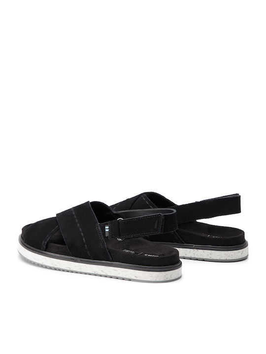 Toms