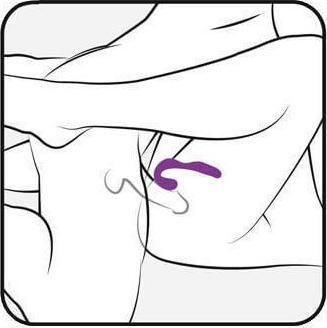 Adrien Lastic Mr. Hook & LRS Mini Δονητής G-Spot 12cm Purple