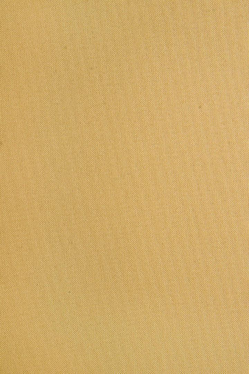 Bizzotto Senf Sonnenbank-Kissen Gelb 176x50cm Bizzotto Senf Sonnenbank-Kissen Gelb 176x50cm