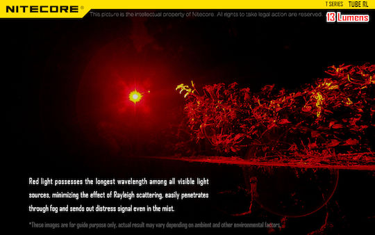 NiteCore Rechargeable Keychain Flashlight LED UV IP65 with Maximum Brightness 13lm Tube Rechargable RL Embedded Black