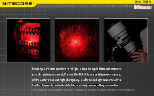NiteCore Rechargeable Keychain Flashlight LED UV IP65 with Maximum Brightness 13lm Tube Rechargable RL Embedded Black