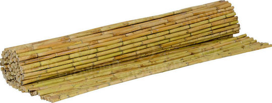 Showood Καλαμωτή με Ολόκληρο Καλάμι 1.5x3m 150300 Showood Καλαμωτή με Ολόκληρο Καλάμι 1.5x3m 150300