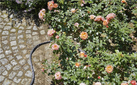 Gardena Liano Λάστιχο Ποτίσματος Σετ 1/2" 10m