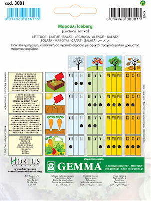 Gemma Seeds Lettuce 6.5gr/4550pcs