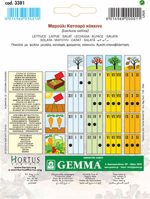 Gemma Seeds Lettuce 7gr/4900pcs
