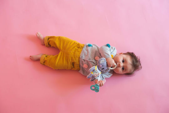 Taf Toys Κρεμαστό Παιχνίδι Κούνιας και Καροτσιού με Μασητικό Kimmy the Koala για Νεογέννητα