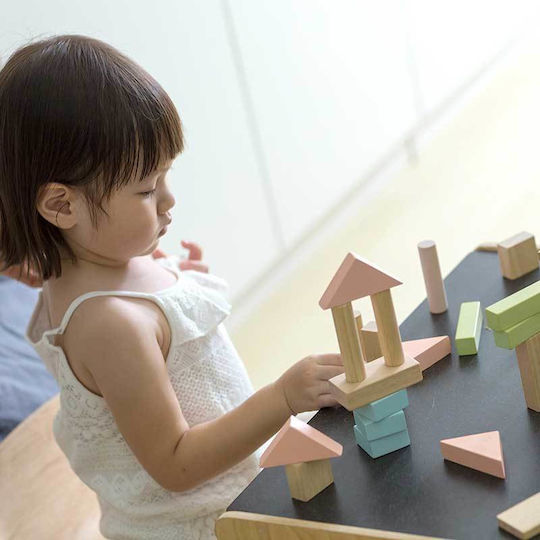 Plan Toys Cuburi De Construit Din Lemn Pentru 2+ Ani 40 Bucăți