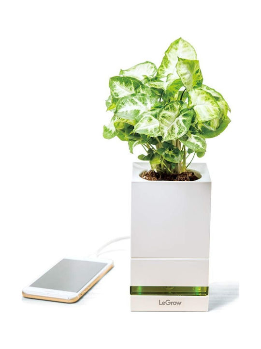Allocacoc LeGrow TGP Self-watering Pot Plastic