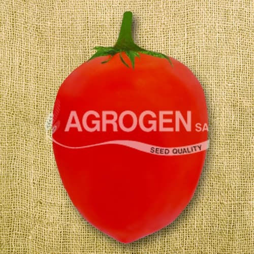 Agrogen Σπόροι Τομάτας Πράσινο 0.5gr