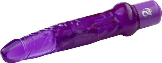 You2Toys Jelly Anal Vibrator Purple 17.5cm | Skroutz.mt