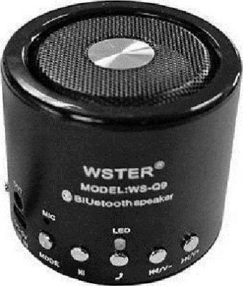 WSTER Bluetooth Speaker 3W with Radio Black WS-Q9