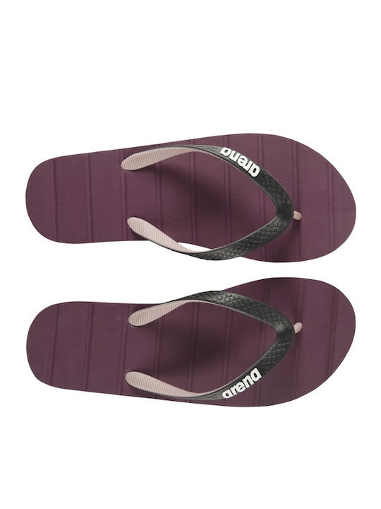Eddy Frauen Flip Flops in Schwarz Farbe