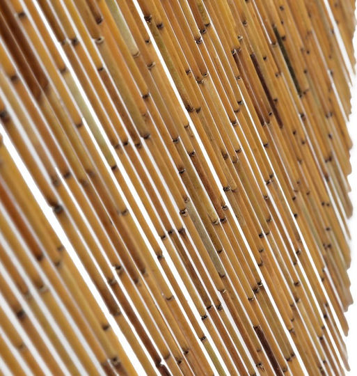 vidaXL Bamboo Door Curtain Brown 90x220cm 43721