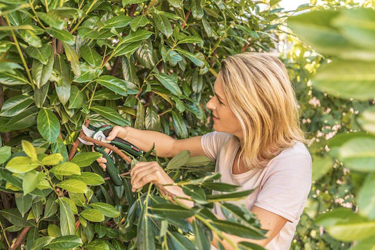 Bosch EasyPrune Pruning Shears 3.6V with 1 Battery & Maximum Cutting Diameter 25mm